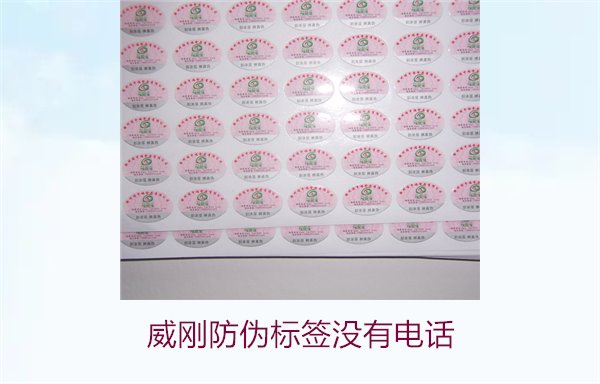 威刚防伪标签没有电话，如何通过其他方式验证威刚防伪标签的真伪(图3)